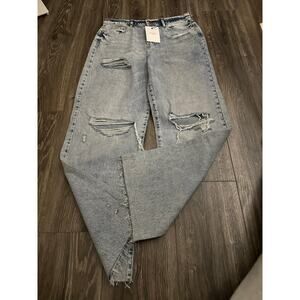 HIDDEN logan dad jean in medium wash size 31 NWT